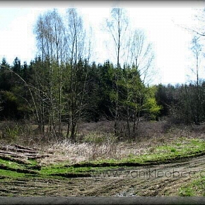 Pohled na rozcestí lesních cest, kde stávalo stavení zdejších samot.