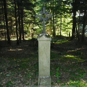 Při silnici z býv. Valtířova do Nemanic stojí křížek jako jediné připomenutí po osídlení této lokality. Prostor vsi byl zalesněn.