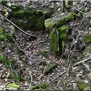 Ruiny sklepení a základů s propadlým sklepem pod silnicí od Valtířova.