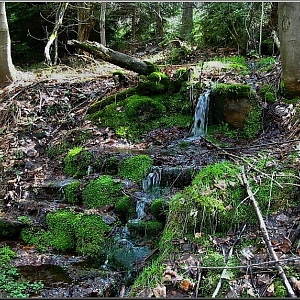 Starý pramen vody s původními kamennými schody u zaniklé usedlosti v dolní části Nuzarova nalevo od silnice z Valtířova.