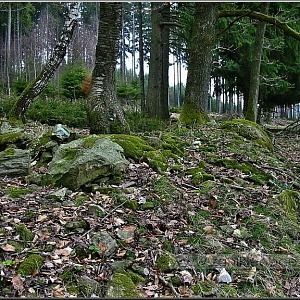 Navršené kameny na místě usedlosti (520m), která stávala na úrovni lesa kus pod cedulí.