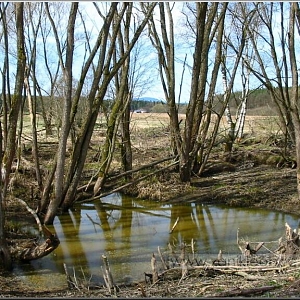 Pozůstatek návesního rybníčku při cestě k Horním Srubům a ke Flekům.
