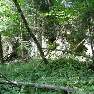 Zříceniny loveckého zámečku rodu Koců z Dobrše jsou ukryty v hustém stromoví zpustlého zámeckého parku, v němž lze vytušit kultivary okrasných dřevin.