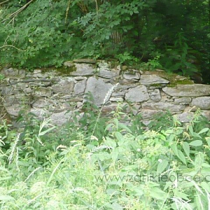 Zbytek zdi objektu na okraji zaniklé obce.