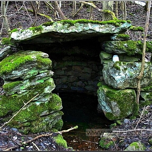 Studánka dodnes zachovaná a využívaná, stojí pod cestou z Liščí Hory do Mostku pod většími ruinami základů.