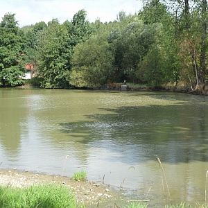 Mimov - rybník