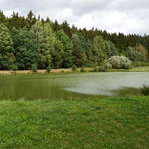 Milavče - rybník