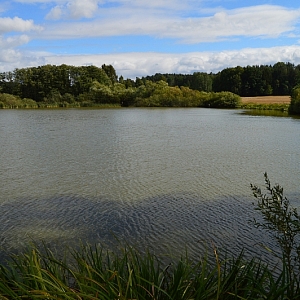 Draženov - Hrubých rybník