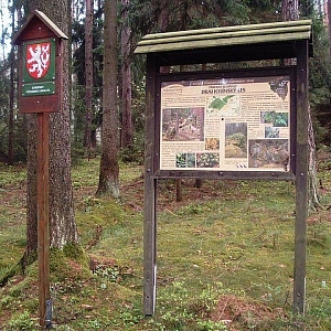 Drahotínský les - přírodní rezervace