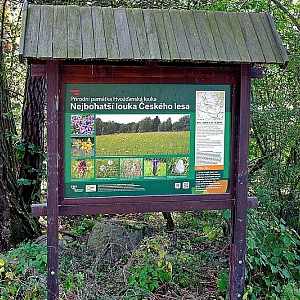Hvožďanská louka - přírodní památka