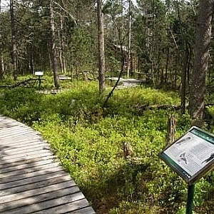 CHKO Český les