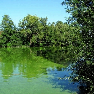 Ždánov - rybník