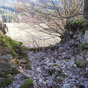 Liščí Hora (Fuchsberg)