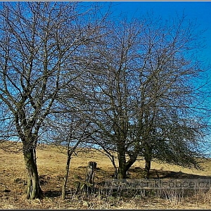Celkový pohled na lokalitu samoty (475 m n. m.), stojící nad vsí Hájek a pod starou cestou ze Všerub na Studánky.